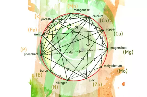 Nutriment : Glutamate - Guide des Nutriments de A à Z - France Minéraux