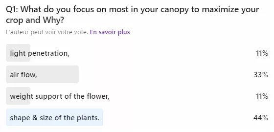 Canopy Management: Cannabis Experts Answer 5 Major Questions