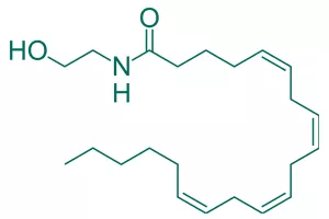 Traditional plants that engage the endocannabinoid system and their medicinal potential