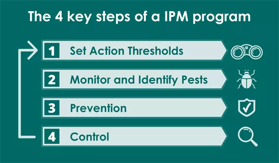 Integrated Pest Management For Cannabis