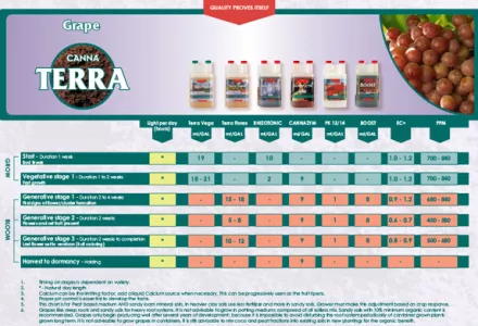 Grape on CANNA TERRA Grow Schedule