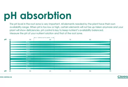 pH absorption