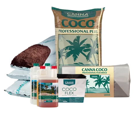 CANNA COCO